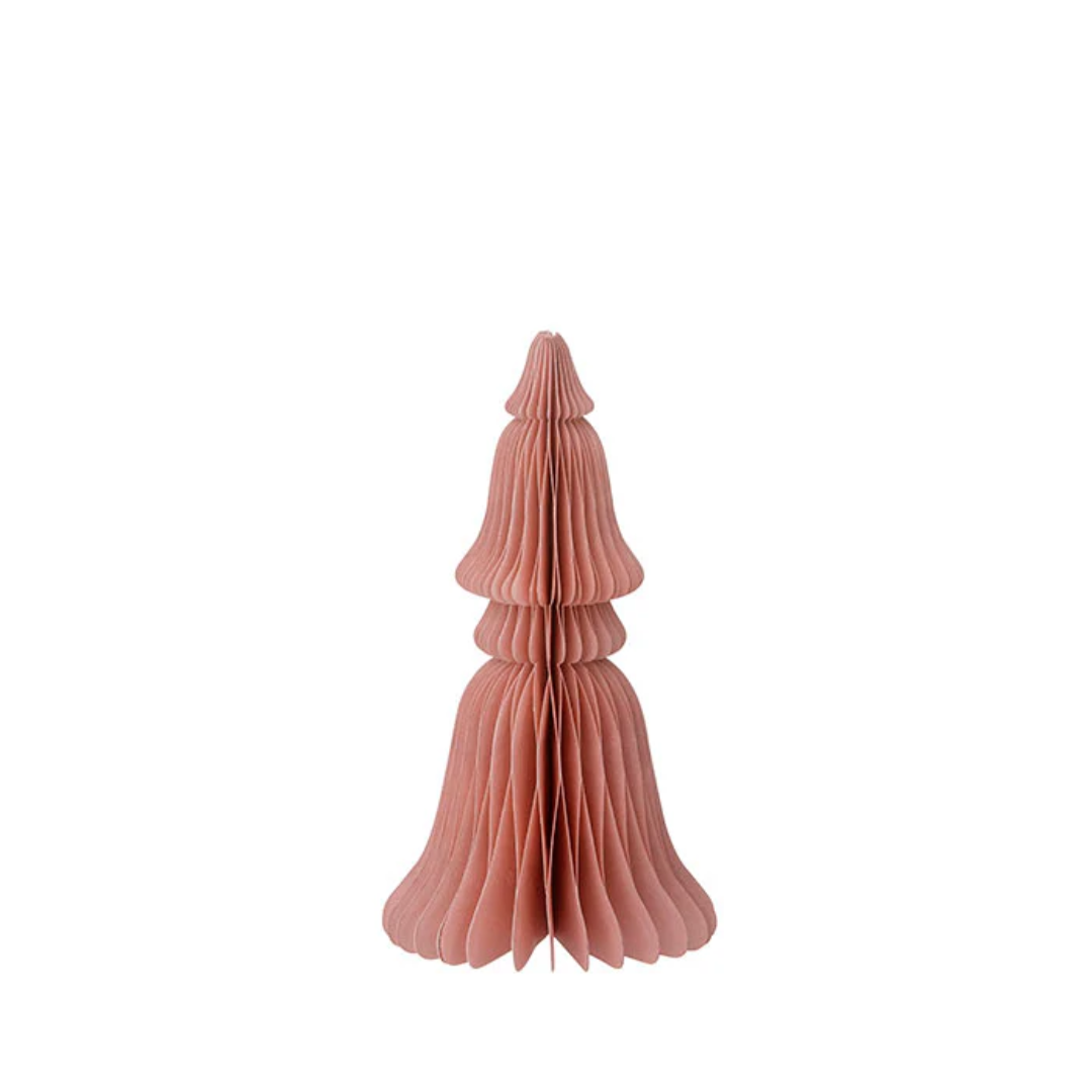 Evergreen Paper Tree